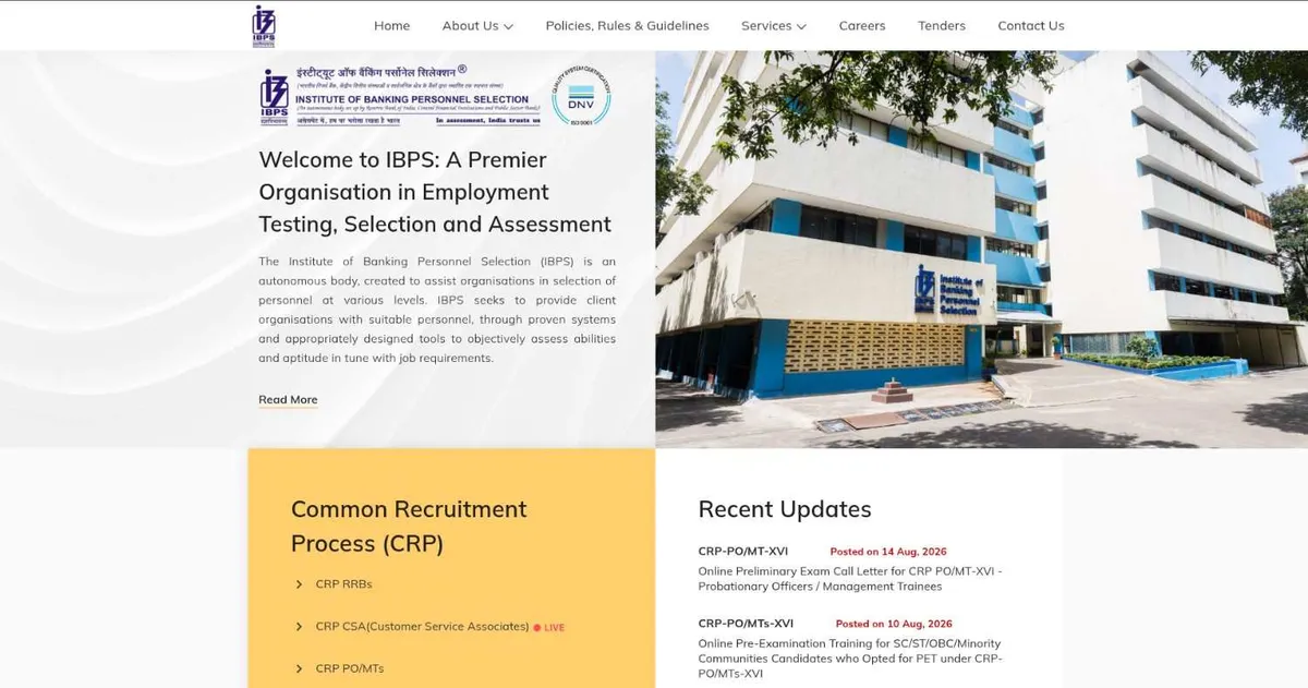 ibps new vacancy